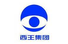 西王集團 西王集團